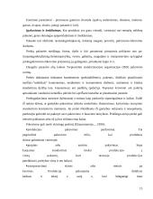 Gaminamos ir rea­lizuojamos produkcijos konkurencingumas 15 puslapis