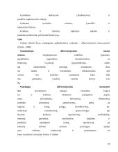 Gaminamos ir rea­lizuojamos produkcijos konkurencingumas 20 puslapis