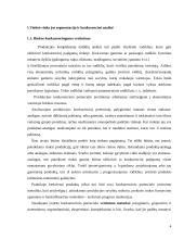 Gaminamos ir rea­lizuojamos produkcijos konkurencingumas 4 puslapis