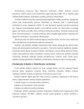 Gaminamos ir rea­lizuojamos produkcijos konkurencingumas 6 puslapis