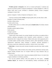 Gaminamos ir rea­lizuojamos produkcijos konkurencingumas 9 puslapis