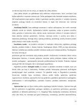 Gaminamos ir rea­lizuojamos produkcijos konkurencingumas 10 puslapis