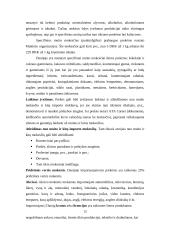 Lietuvos eksportas į Daniją 13 puslapis