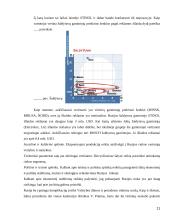 AB “Snaigė” šaldytuvų eksporto į Rusiją planas 11 puslapis