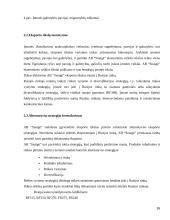 AB “Snaigė” šaldytuvų eksporto į Rusiją planas 16 puslapis
