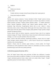 AB “Snaigė” šaldytuvų eksporto į Rusiją planas 17 puslapis