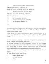 AB “Snaigė” šaldytuvų eksporto į Rusiją planas 18 puslapis