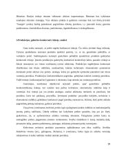 AB “Snaigė” šaldytuvų eksporto į Rusiją planas 19 puslapis