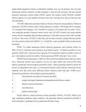 AB “Snaigė” šaldytuvų eksporto į Rusiją planas 8 puslapis