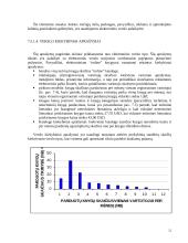 Marketingo planavimas E-versle teoriniai ir praktiniai aspektai 12 puslapis