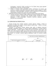 Marketingo planavimas E-versle teoriniai ir praktiniai aspektai 18 puslapis