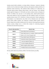 Internetas ir marketingas 11 puslapis