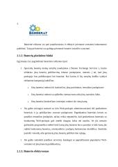 Internetas ir marketingas 12 puslapis