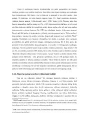 Internetas ir marketingas 13 puslapis