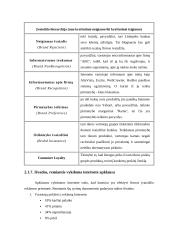 Internetas ir marketingas 16 puslapis