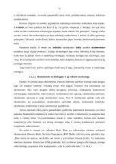 Lietuvos įmonių tarptautinis marketingas internete 11 puslapis