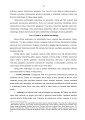 Lietuvos įmonių tarptautinis marketingas internete 15 puslapis