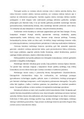 Lietuvos įmonių tarptautinis marketingas internete 17 puslapis