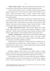 Lietuvos įmonių tarptautinis marketingas internete 19 puslapis