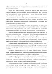 Lietuvos įmonių tarptautinis marketingas internete 8 puslapis