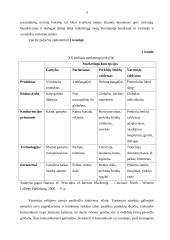 Lietuvos įmonių tarptautinis marketingas internete 9 puslapis