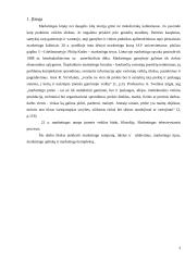 Marketingas referatas 3 puslapis