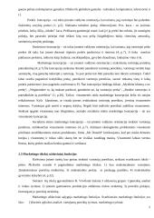 Marketingas referatas 5 puslapis