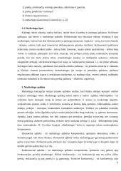 Marketingas referatas 6 puslapis