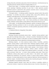 Marketingas referatas 7 puslapis