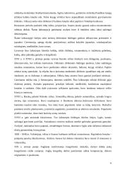 Odos technikų raida 6 puslapis