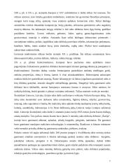 Odos technikų raida 7 puslapis