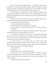 Marketingo strateginis planavimas. Kursinis darbas 19 puslapis