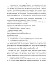 Paskirstymo kanalų analizė AB "Vilniaus pergalė" 6 puslapis