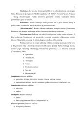 Reklamos planavimas ir jo procesas 4 puslapis