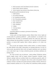 Reklamos planavimas ir jo procesas 9 puslapis