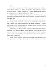 Įmonės pardavimų programa 2 puslapis