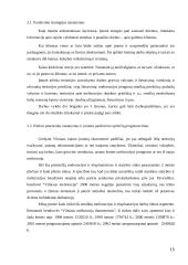 Įmonės pardavimų programa 12 puslapis