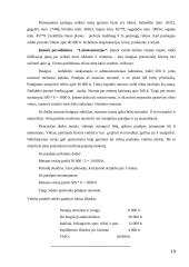 Įmonės pardavimų programa 16 puslapis