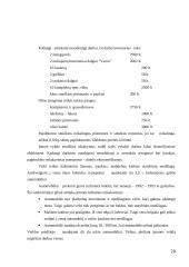 Įmonės pardavimų programa 17 puslapis