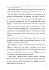 Įmonės pardavimų programa 5 puslapis