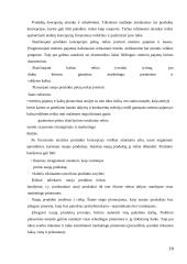 Įmonės pardavimų programa 7 puslapis