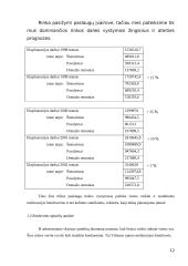 Įmonės pardavimų programa 9 puslapis