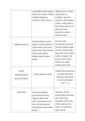 Slaugos planas: smegenų sutrenkimas 5 puslapis