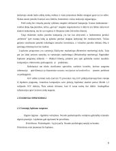 Klientų lojalumas prekybos tinkle "IKI" 9 puslapis