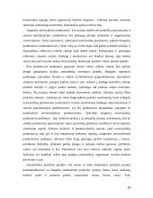 Mažmeninės prekybos įmonės, jų personalas 19 puslapis