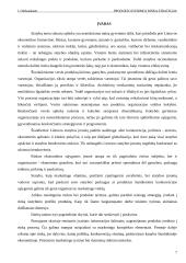 Produkto įvedimo į rinką strategija. Magistro darbas 7 puslapis