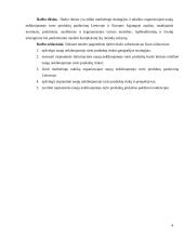 Naujų nekilnojamojo turto produktų produktų pardavimo marketingo strategija ir taktika 4 puslapis