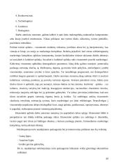 Tarptautinio marketingo strategija organizuojant nekilnojamojo turto pardavimą 13 puslapis