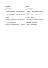 Tarptautinio marketingo strategija organizuojant nekilnojamojo turto pardavimą 19 puslapis