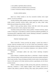 Kauno AB “Panevėžio statybos trestas”marketingo strateginio valdymo aspektai ir jos diversifikacija 19 puslapis